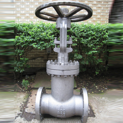 Bellow Sealed Globe Valve