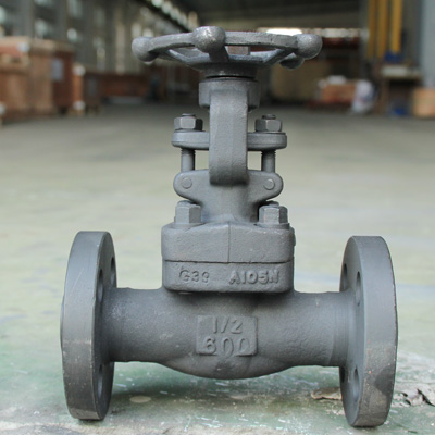 Forged Steel Globe Valve