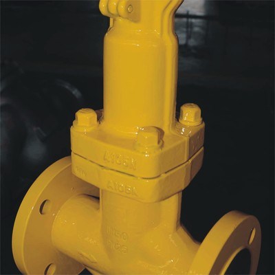 Bellow Seal Globe Valve