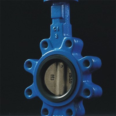 Lug Concentric Butterfly Valve