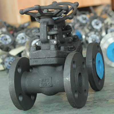 Forged Steel Gate Valve