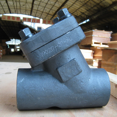 Forged Y Check Valve