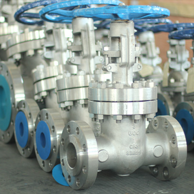 Stainless Steel Gate Valve