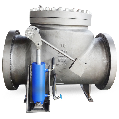 Swing Check Valve with Cylinder, 30 Inch, CL300