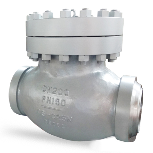 DIN Swing Check Valve, DN200, PN160, GS-C25N, BW