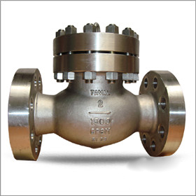 CF8M Swing Check Valve, 2 Inch, CL1500