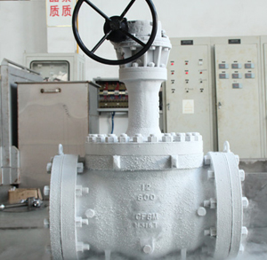 Cryogenic Ball Valve